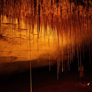 Naracorte-Caves-10