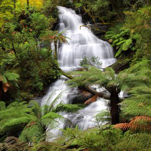 Otway-Waterfall-2