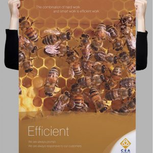 cea_efficient-poster