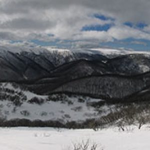 snow-landscape-copy