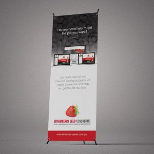 Strawberry-Seed-Banner
