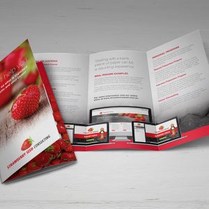 Strawberry-Seed-DL-brochure-2