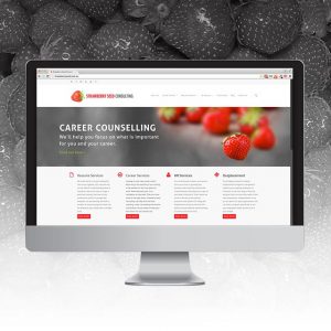 Strawberry-seed-website-computer